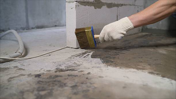 24/7 Emergency Exterior Waterproofing experts in Ferrysburg, MI